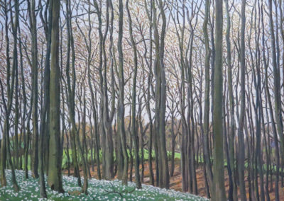 2005, Wald von Ulsstrop, 60x70cm, Nikolaus Störtenbecker