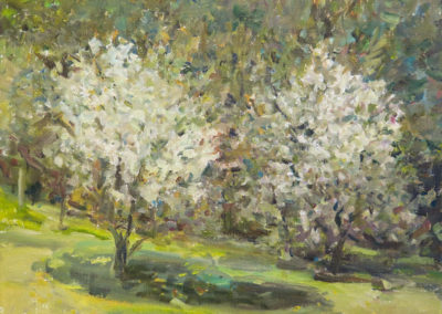 Apfelblüten, 30x40cm, Nikolaus- Störtenbecker